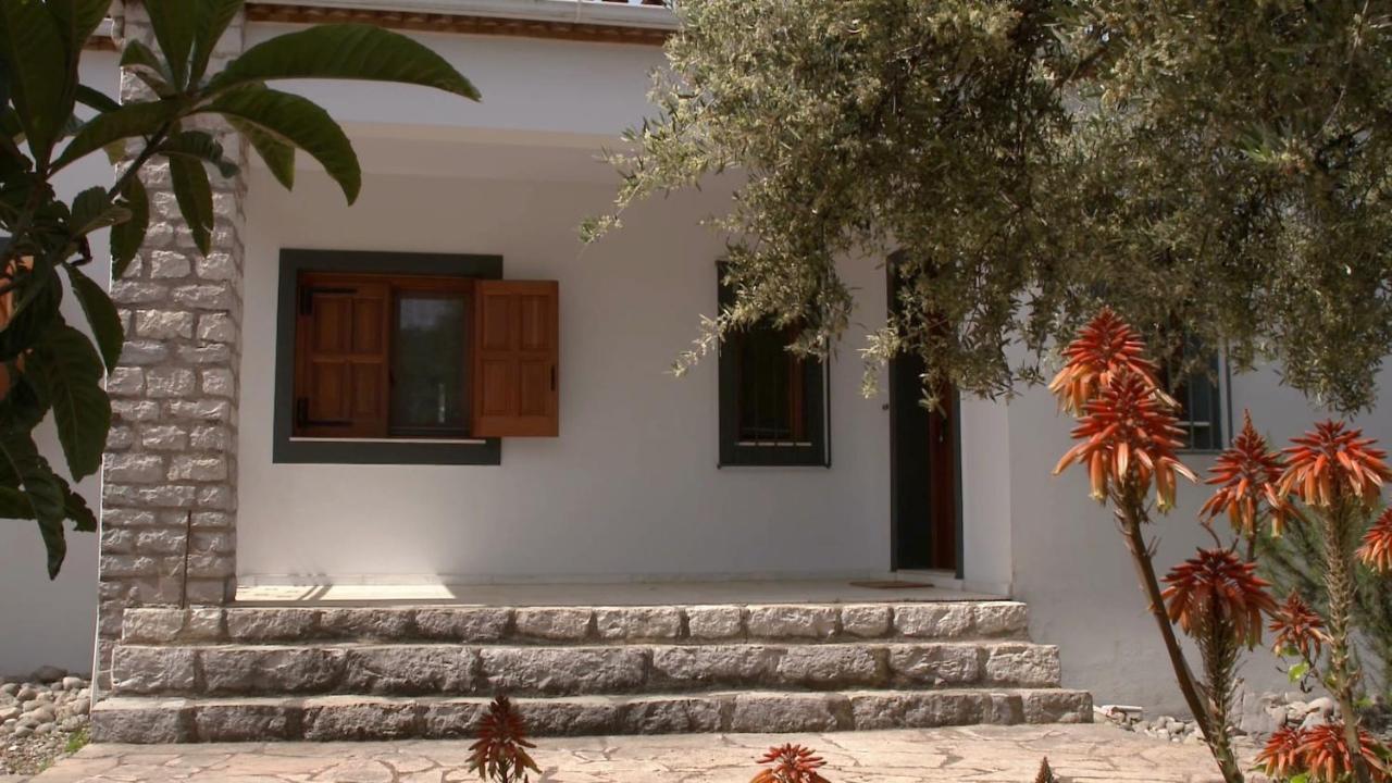 Ionianeon Apartments Agios Ilias  Exterior photo
